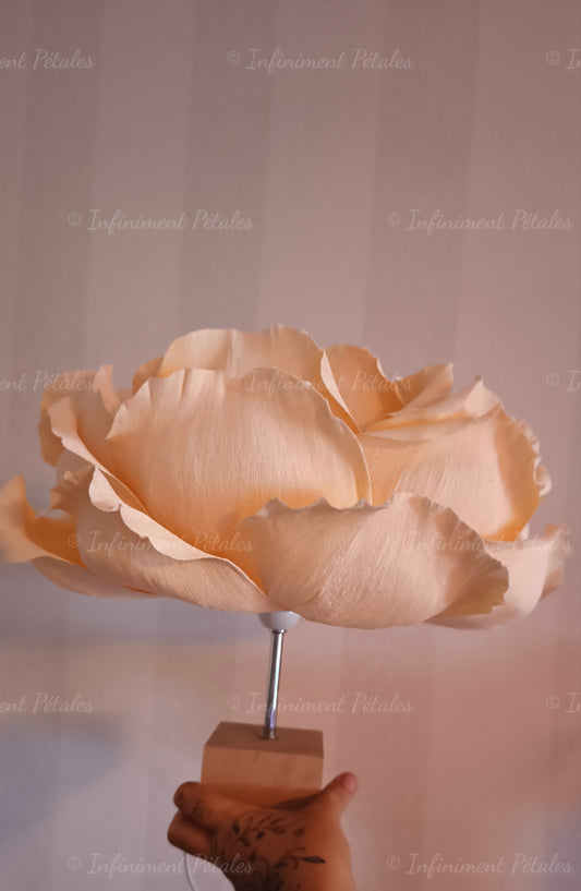 Lampe Rose "Pétale de sable"